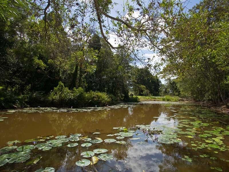 262 Cooroy Mountain Road, Cooroy Mountain QLD 4563