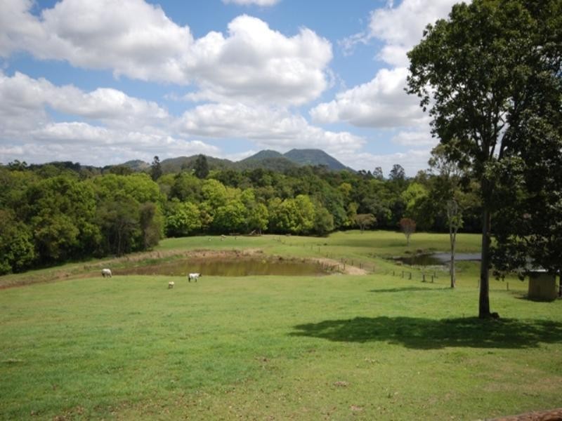 Eumundi QLD 4562