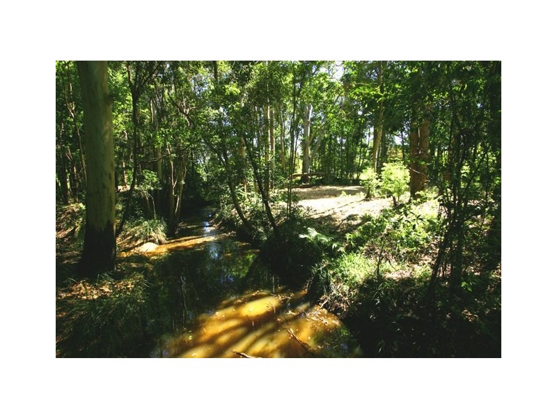 824 Eumundi Noosa Road, Doonan QLD 4562