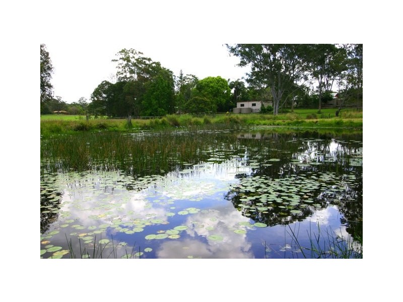 Lot 1/824 Eumundi Noosa Road, Doonan QLD 4562