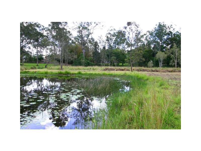 Lot 1/824 Eumundi Noosa Road, Doonan QLD 4562