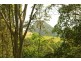 Doonan QLD 4562