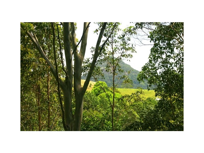 Doonan QLD 4562