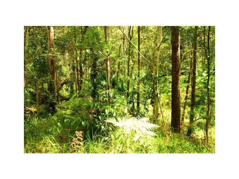 Doonan QLD 4562