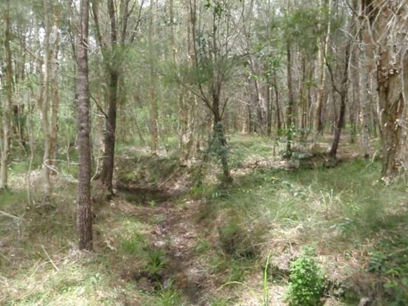 Cooroibah QLD 4565
