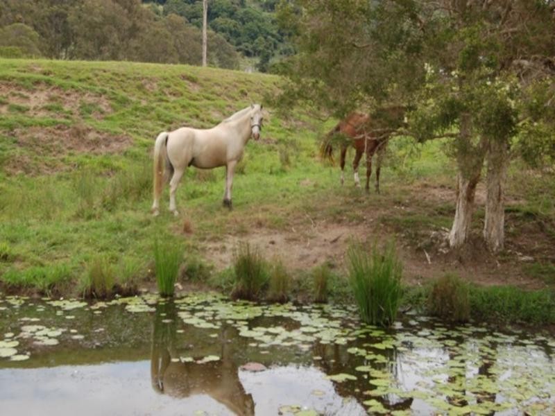 177 Mcrae Road, Kin Kin QLD 4571