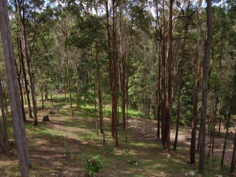 82 Youngs Drive, Doonan QLD 4562