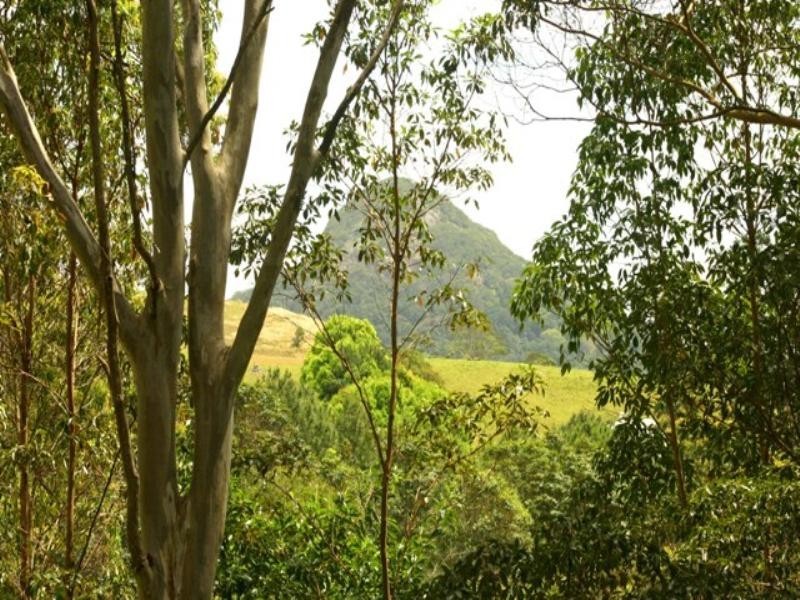 300 Sunrise Road, Doonan QLD 4562