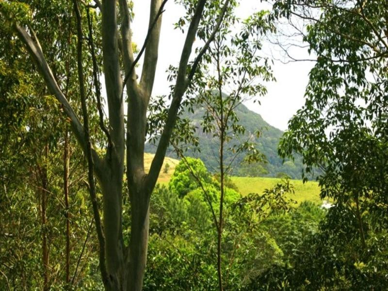 300 Sunrise Road, Doonan QLD 4562