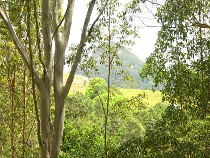 300 Sunrise Road, Doonan QLD 4562