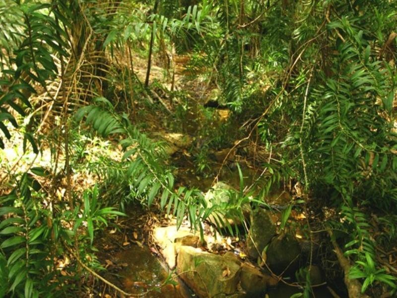 300 Sunrise Road, Doonan QLD 4562