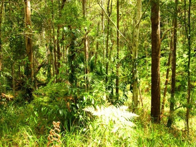 300 Sunrise Road, Doonan QLD 4562