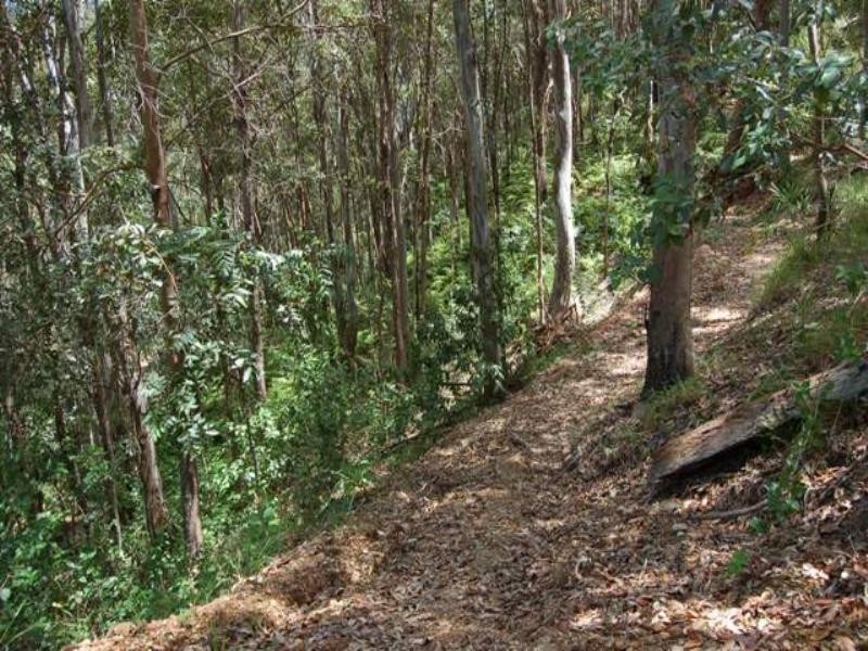 330 Cootharaba Road, Cootharaba QLD 4565