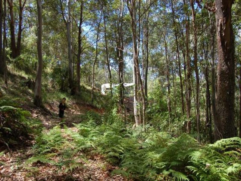 330 Cootharaba Road, Cootharaba QLD 4565