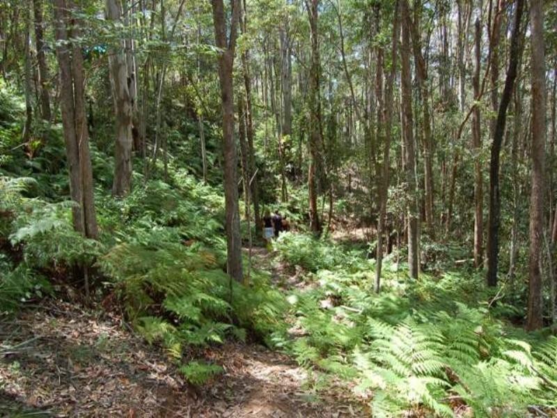 330 Cootharaba Road, Cootharaba QLD 4565