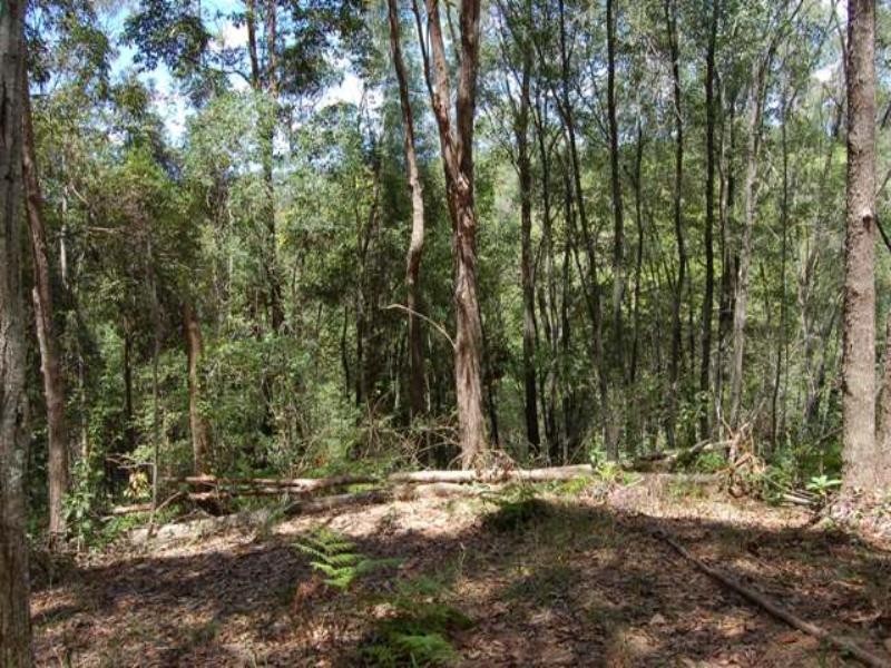 330 Cootharaba Road, Cootharaba QLD 4565