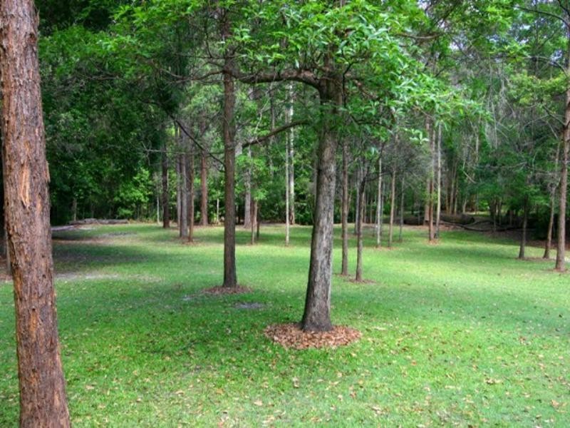 171 Wust Road, Doonan QLD 4562