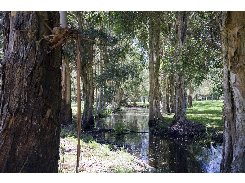 305 Dath Henderson Road, Cooroy QLD 4563