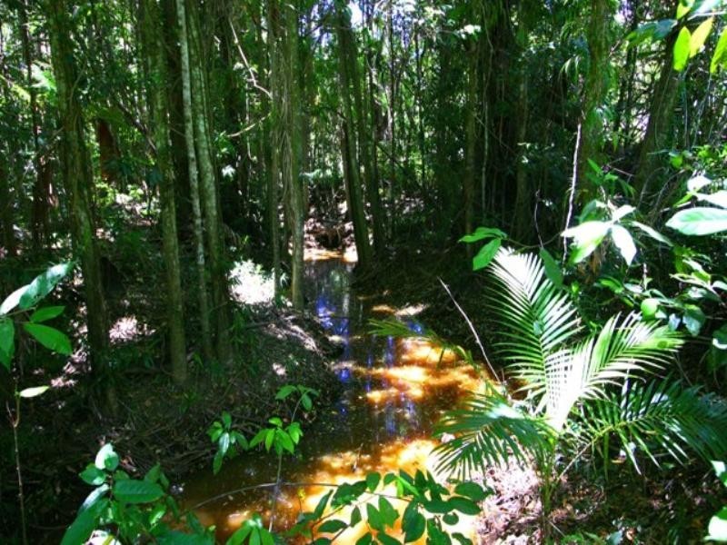 16 Livistona Drive, Doonan QLD 4562