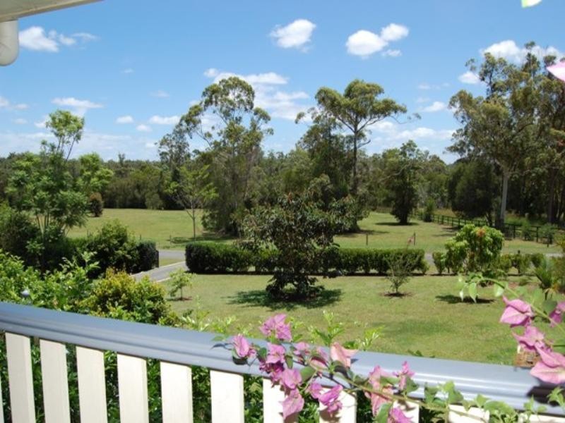 59 Racehorse Lane, Cooroy QLD 4563