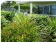 1/2 Sidoni Street, Tewantin QLD 4565