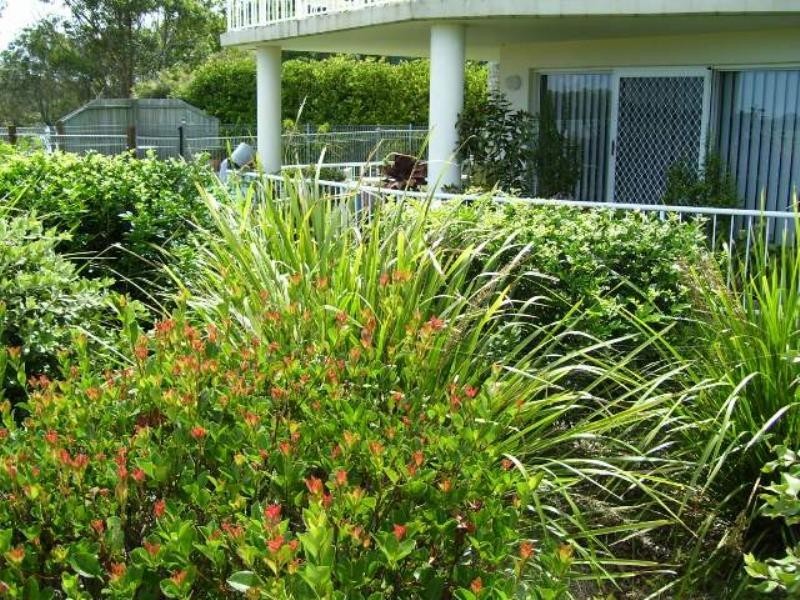 1/2 Sidoni Street, Tewantin QLD 4565