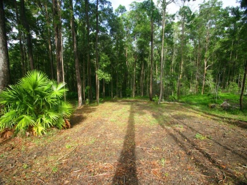 56 Forest Ridge Drive, Doonan QLD 4562