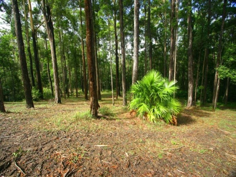 56 Forest Ridge Drive, Doonan QLD 4562
