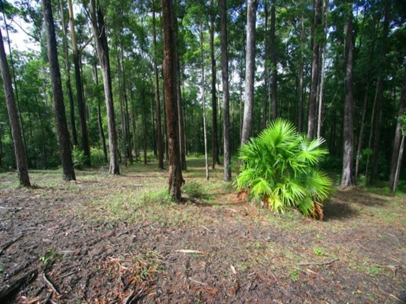 56 Forest Ridge Drive, Doonan QLD 4562