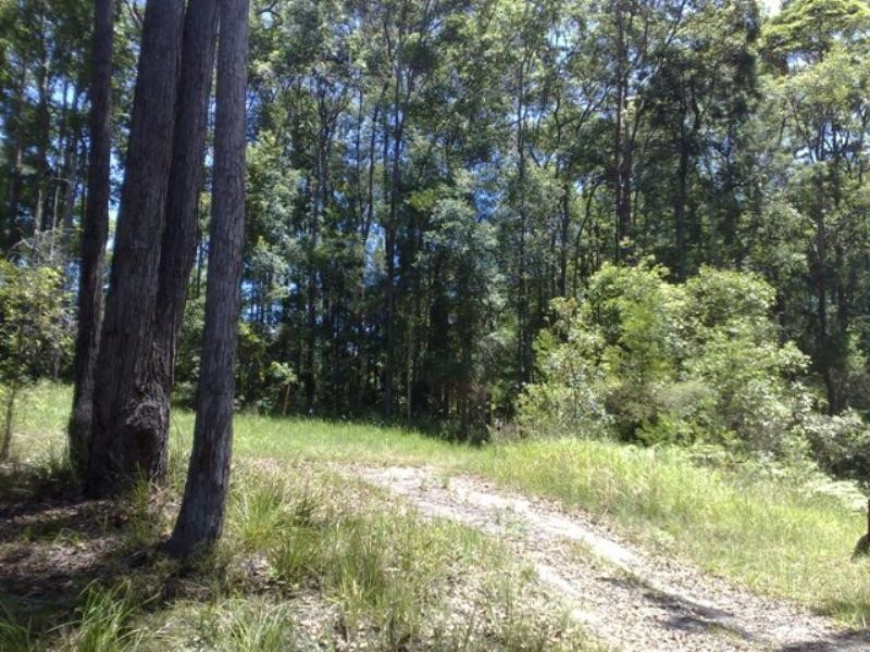 2 Parkdale Avenue, Doonan QLD 4562