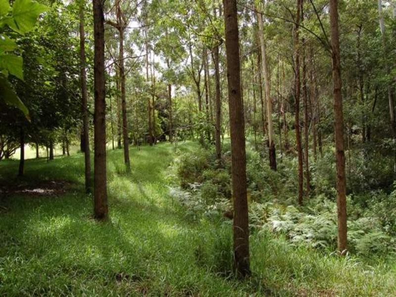 10 Hideaway Lane, Tinbeerwah QLD 4563
