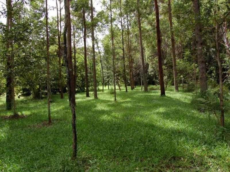 10 Hideaway Lane, Tinbeerwah QLD 4563