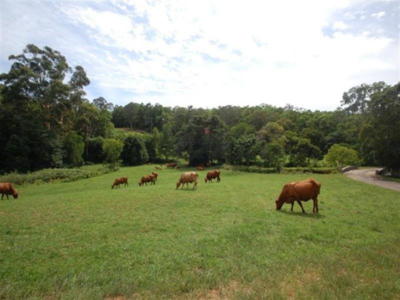 Lot 7/262a Sunrise Road, Doonan QLD 4562