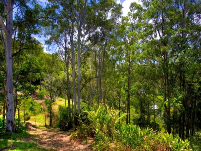 303 Duke Road, Doonan QLD 4562