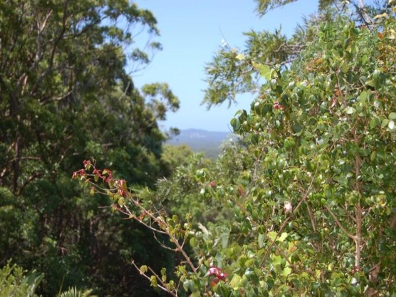 242 Verrierdale Road, Verrierdale QLD 4562