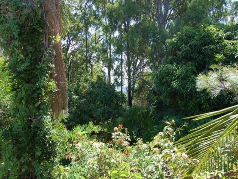 242 Verrierdale Road, Verrierdale QLD 4562