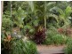 80 Valley Drive, Doonan QLD 4562