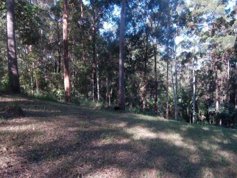 67 Youngs Drive, Doonan QLD 4562