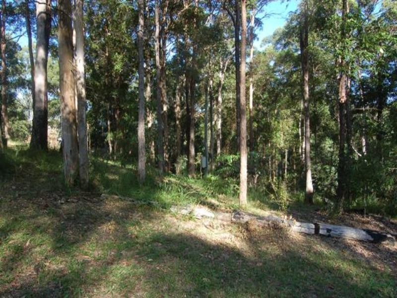 67 Youngs Drive, Doonan QLD 4562