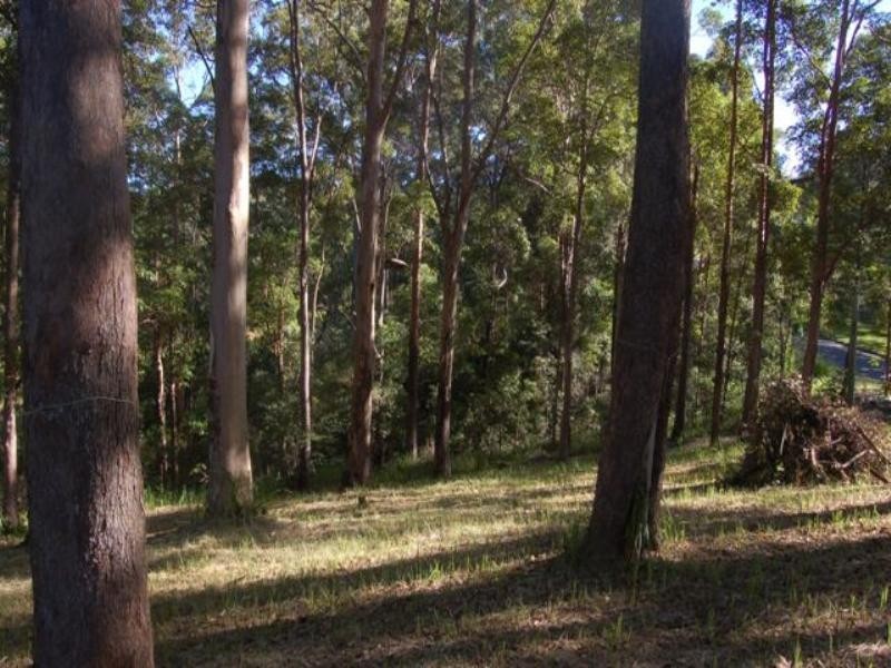 67 Youngs Drive, Doonan QLD 4562