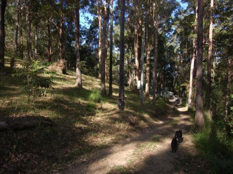 67 Youngs Drive, Doonan QLD 4562