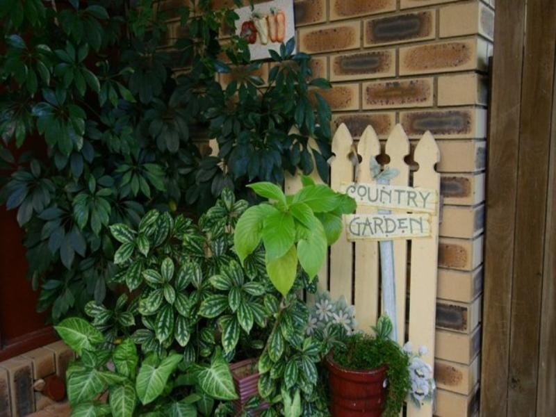 7 Pine Tree Drive, Cooroy QLD 4563