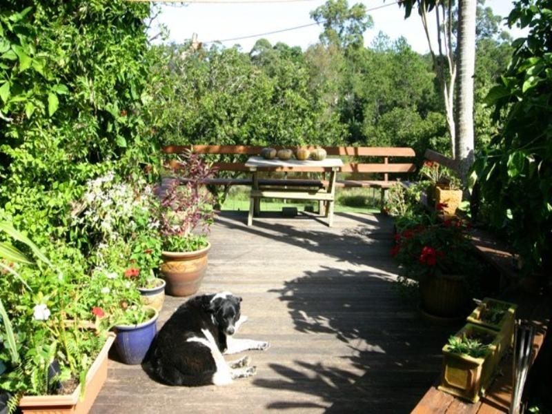 7 Pine Tree Drive, Cooroy QLD 4563