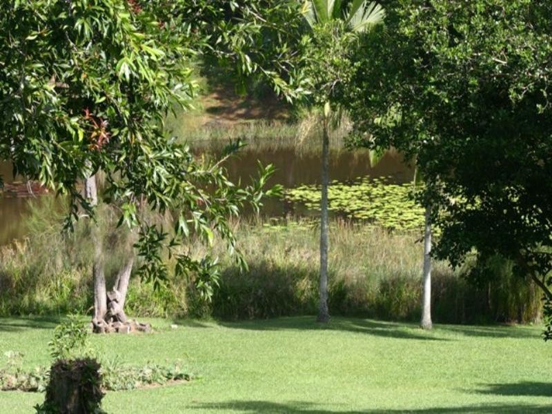 7 Pine Tree Drive, Cooroy QLD 4563