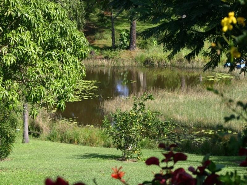 7 Pine Tree Drive, Cooroy QLD 4563