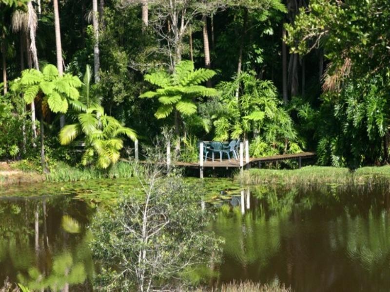 7 Pine Tree Drive, Cooroy QLD 4563