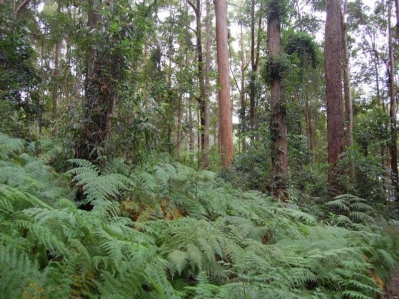 46 Stewart Court, Doonan QLD 4562