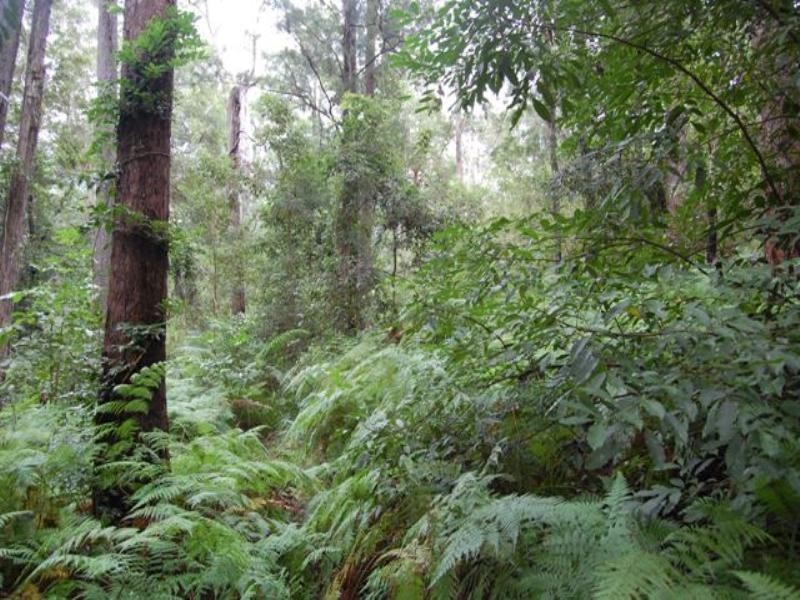 46 Stewart Court, Doonan QLD 4562