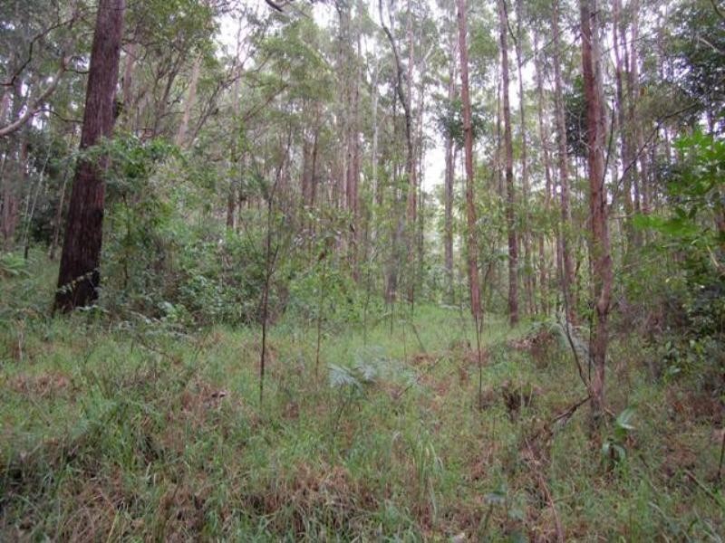 46 Stewart Court, Doonan QLD 4562