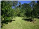 77 King Parrot Lane, Cooroy QLD 4563